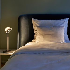 Studio met een King Size Bed